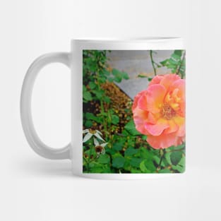 Esther Short Park Study 6 Mug